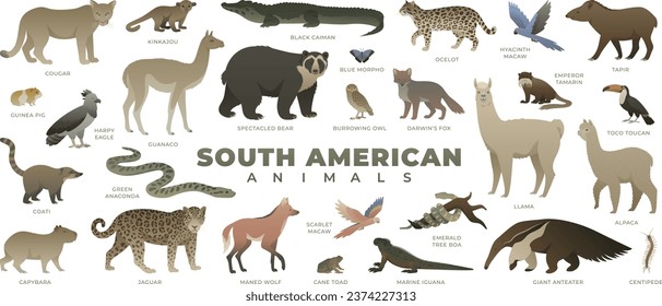 South American animals set. Including llama, alpaca, capybara, anteater, toucan, ocelot. Vector illustration of wildlife. Wild animal collection isolated on white background.