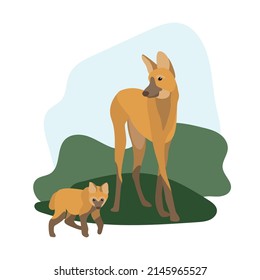 South American animals vector illustration