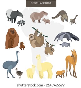 South American animals vector illustration