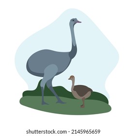 South American animals vector illustration