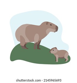 South American animals vector illustration