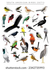 Aves Sudamericanas marcan el carácter de vector de dibujos animados 1
