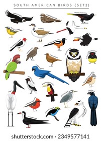 South American Birds Set Cartoon Vector Character 2