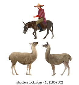 South American Farmer In National Dress Riding A Donkey With Llamas. Vector Illustration Isolated On The White Background