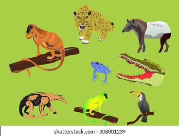 South American jungles animals set.