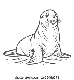 South American Sea Lion Line Art Illustration