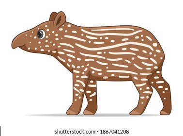 South American tapir animal standing on a white background. Cartoon style vector illustration