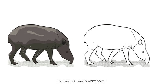 South American tapir is the largest surviving native terrestrial mammal in the Amazon. Vector illustration isolated on white background