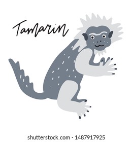 South AmericaTamarin monkey vector illustration clipart. Kids design poster. Wild mammal drawing in scandinavian style. Handwritten lettering. Exotic animal wildlife. 