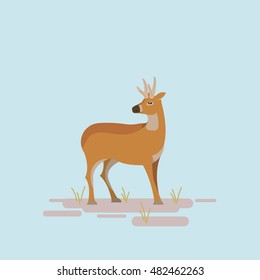 South Andean deer. Flat style color modern vector illustration.