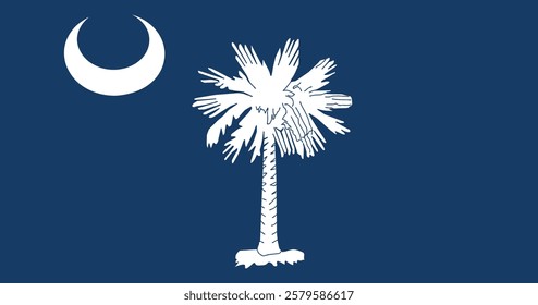 South Carolina (1861-1910) Flag Vector Illustration Premium Quality