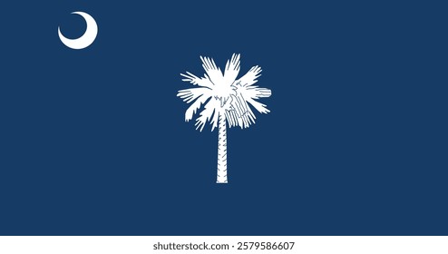 South Carolina (1910-1940) Flag Vector Illustration Premium Quality