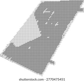 A South Carolina state map rendered in pixelated bitmap halftone dotted dither style as a minimalist vector art illustration with a monochrome color scheme and geometric pattern design