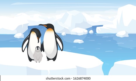 South pole wildlife flat vector illustration. Emperor penguins family on cracked iceberg. Adult birds with chick on winter landscape. Antarctica wilderness. Animal cartoon characters