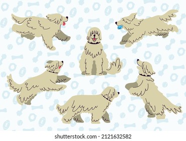 South Russian Shepherd. Set of vector illustration.