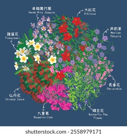 Southeast Asia Common Flowers. Translation: Van Da Miss Joaquim, Hibiscus, Mexican Petunia, Periwinkle, Butterfly Pea Flower, Bougainvillea, Chinese Ixora and Frangipani