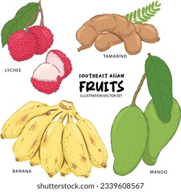 Southeast asian fruit illustration lychee,banana,tamarind and mango vector set