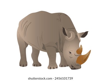 Southern African white rhino grazing. Vector illustration isolated on white background.