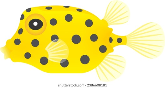 The southern boxfish isolated on white background