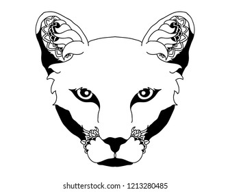 Southern California Mountain Lion Vector Illustration