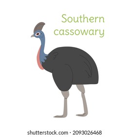 the southern cassawary is standing. Australian bird in a simple style.