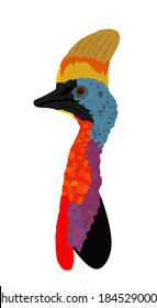 Southern cassowary head vector illustration isolated on white background. Big bird symbol.