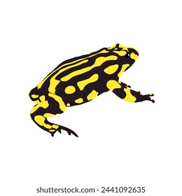 The Southern Corroboree Frog, Pseudophryne corroboree high quality vector design transparent background