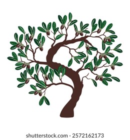 southern live oak, vector drawing tree with acorns and green leaves, isolated at white background, hand drawn illustration