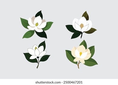 Das "Southern Magnolia Flower Vektor Artwork" ist ein hochwertiges digitales Produkt mit einer detaillierten und eleganten Vektorgrafik einer Southern Magnolia Flower. 