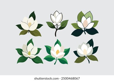 Das "Southern Magnolia Flower Vektor Artwork" ist ein hochwertiges digitales Produkt mit einer detaillierten und eleganten Vektorgrafik einer Southern Magnolia Flower. 