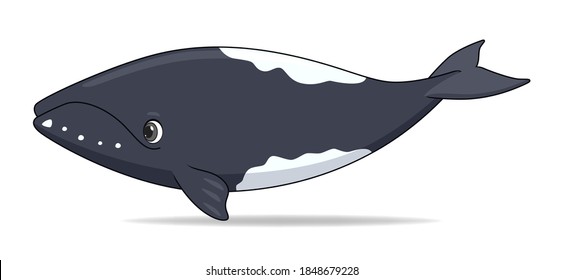Southern right whale fish on a white background. Cartoon style vector illustration