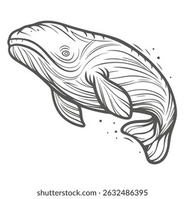 Southern Right Whale Line Art Illustration