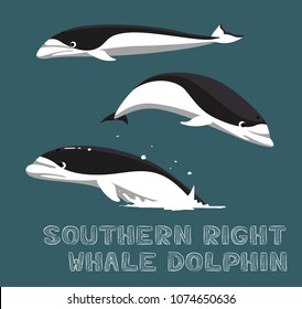 Southern Right Whale-Dolphin Cartoon Vector Illustration