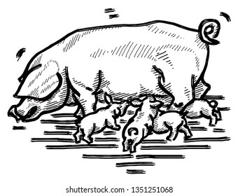 A sow feeding it's piglet. Hand drawn vector illustration.