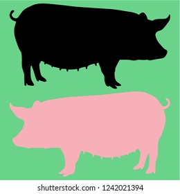  sow pig vector silhouette isolated