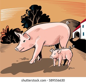 Sow With Piglet Who Walks Free In The Vicinity Of A Farm.