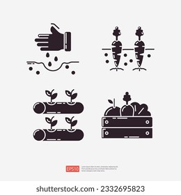 sow seed plan, carrot vegetable in soil, hydroponics farming, vegetables in wood box. Agriculture and farming glyph icon set. Vector Illustration