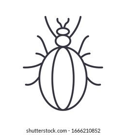 sowbug insect icon over white background, line detail style, vector illustration