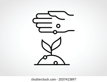 Sowing fertilizer for growing plant on soil. Nurturing and caring for growth.