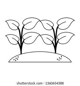 sown plants garden cartoon