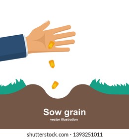 Sows grain. Man holds grain for sowing. Vector illustration flat design. Isolated on white background. Farmer throw corn in the pit. Cultivation wheat. Cartoon style. Work on the ground.