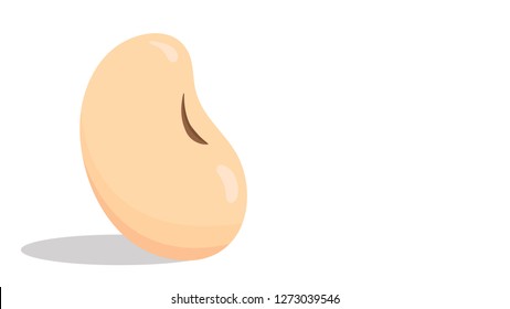 soy bean cartoon vector. symbol. free space for text. wallpaper. copy space.