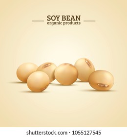 Soy bean elements, organic and natural food in 3d illustration