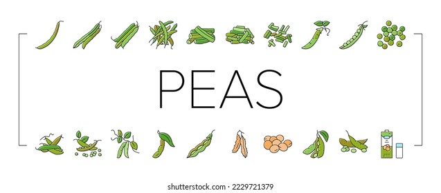 soy bean food pea green icons set vector. vegetable, vegetarian healthy, soybean seed, organic pod, plant fresh, protein soy bean food pea green color line illustrations