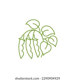 Soy bean plant icon. Flourish design element. Editable outline stroke.