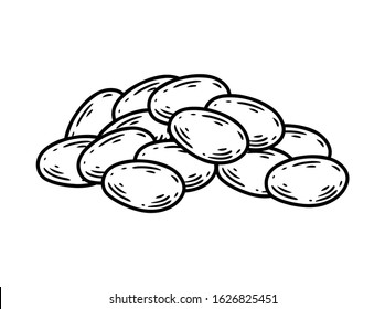 Soy bean, Soybean vector illustration. Soybean engraving isolated on white background.