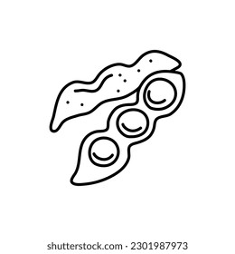 Soy bean, Soybean vector illustration. Soybean engraving isolated on white background.