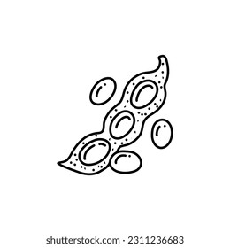 Soy bean, Soybean vector illustration. Soybean engraving isolated on white background.