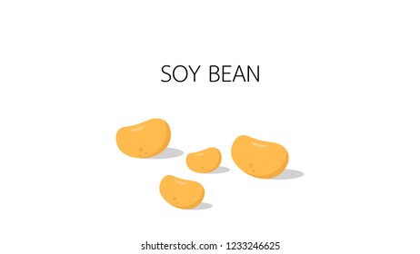 Soy bean vector. free space for text. wallpaper. copy space.