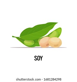 soy beans organic healthy vegetarian food on white background vector illustration